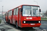 1995-14.jpg